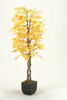 Picture of Fall Aspen Tree 72 In W Metal