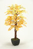 Picture of Fall Aspen Tree 48 In W Metal