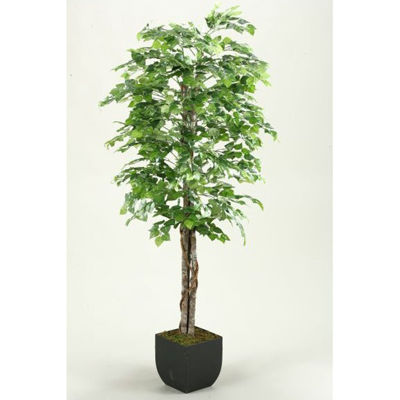 Picture of Green Aspen Tree 72 In W Metal