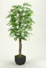 Picture of Green Aspen Tree 72 In W Metal