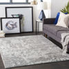 Picture of Seaborn Multi Gray Ivory 5x7 Rug