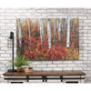 Picture of A Special Place in the Forest 48x32 *D
