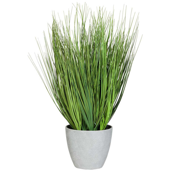 Picture of Onion Grass in Round Grey Pot