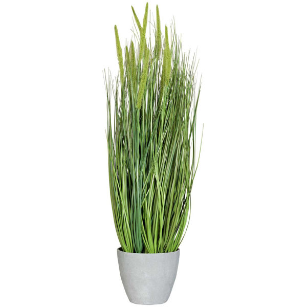 Picture of Foxtail in Melamine Pot