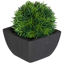 Picture of Grass Ball In Black Terra Pot