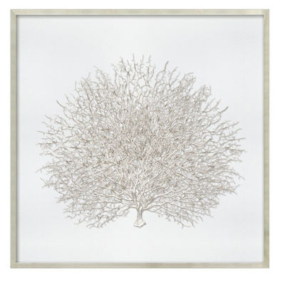 Picture of Sea Fan in Silver Frame