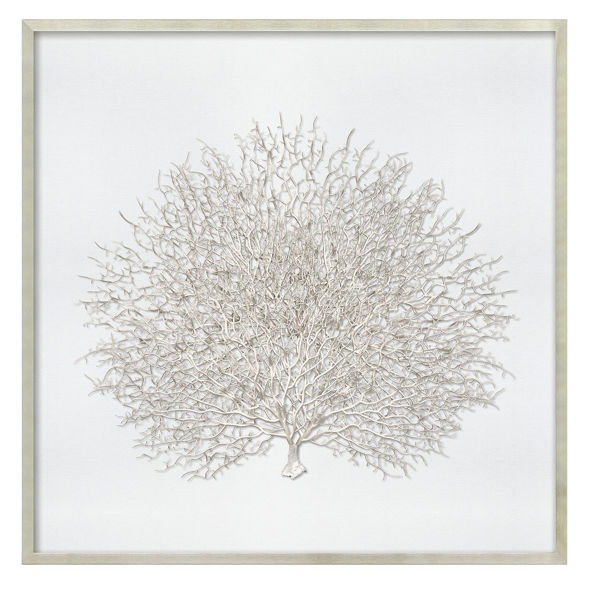 Picture of Sea Fan in Silver Frame