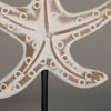 Picture of Sea Star Statue
