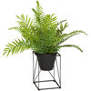 Picture of Ferns On Metal Stand