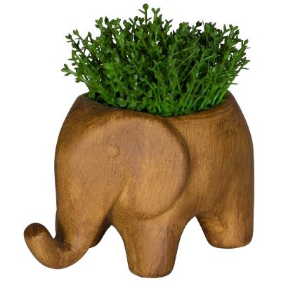 Picture of Grass In Elephant Vase