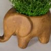 Picture of Grass In Elephant Vase