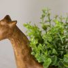 Picture of Greenery In Giraffe