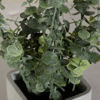 Picture of Leaves In Square White Vase