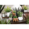 Picture of Green Plant In Round White Container