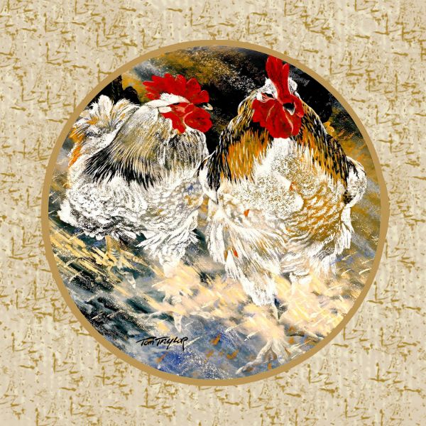 Picture of Stepping Out Chickens