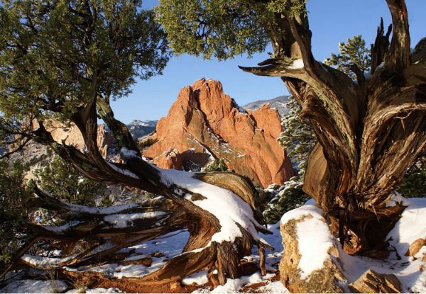 Picture of Garden of The Gods