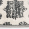 Picture of Newell Stone Snow 5x7 Rug