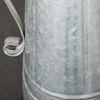 Picture of Galvanized Pitcher