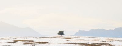 Picture of Colorado Front Range Symmetry