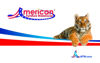 Picture of AFW Gift Card