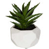 Picture of Leaves In Round White Container