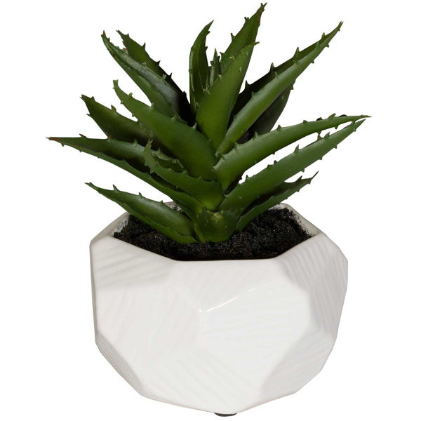 Picture of Leaves In Round White Container