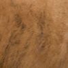 Picture of Assorted Red Cowhide