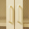 Picture of Crea - Metal Mesh 2-Door Accent Cabinet, Yellow *D