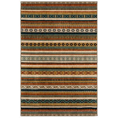 Picture of Dakota Multi Lodge 5x8 Rug II