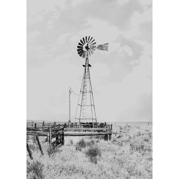 Picture of Breath Of The Plains