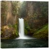 Picture of In Awe At Toketee Falls