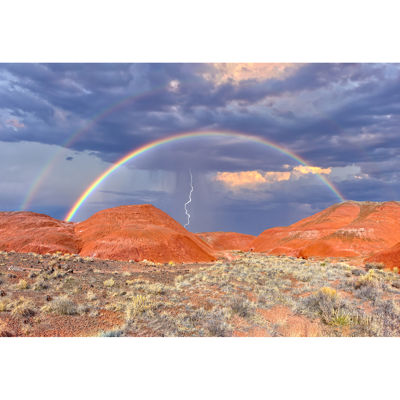 Picture of Petrified Forest Rainbow