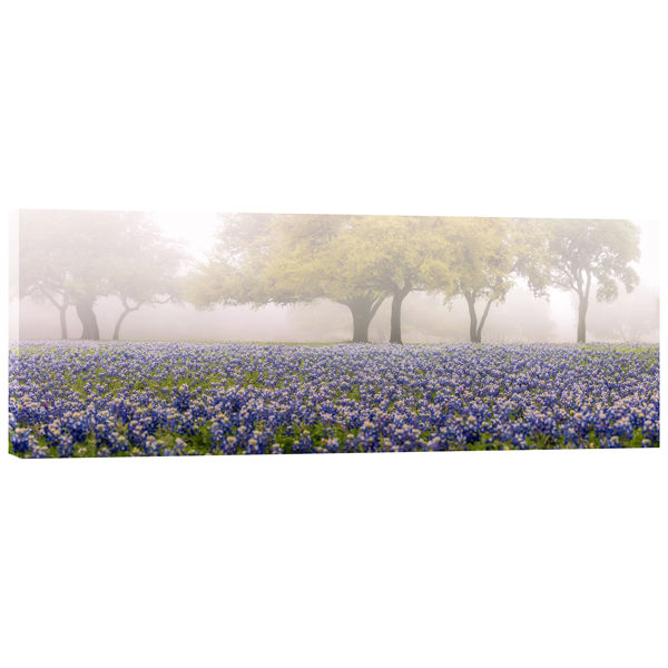 Picture of Foggy Bluebonnets