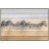 Picture of A Dazzle Of Zebras Print
