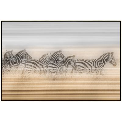 Picture of A Dazzle Of Zebras Print