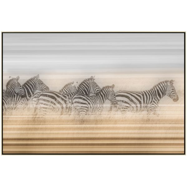 Picture of A Dazzle Of Zebras Print