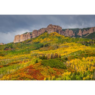 Picture of Autumn Colors in Central Colorado