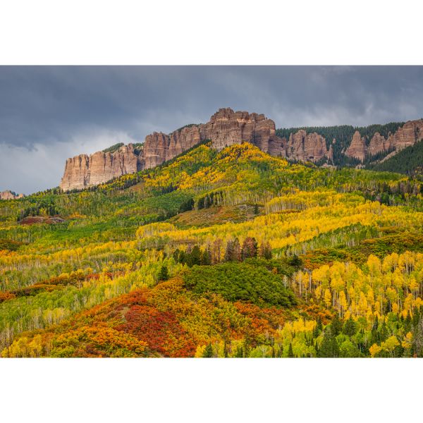 Picture of Autumn Colors in Central Colorado