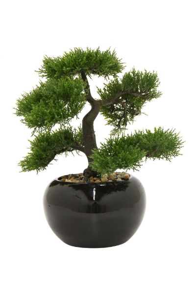 Picture of Faux Bonsai Potted Plant Dark Vase