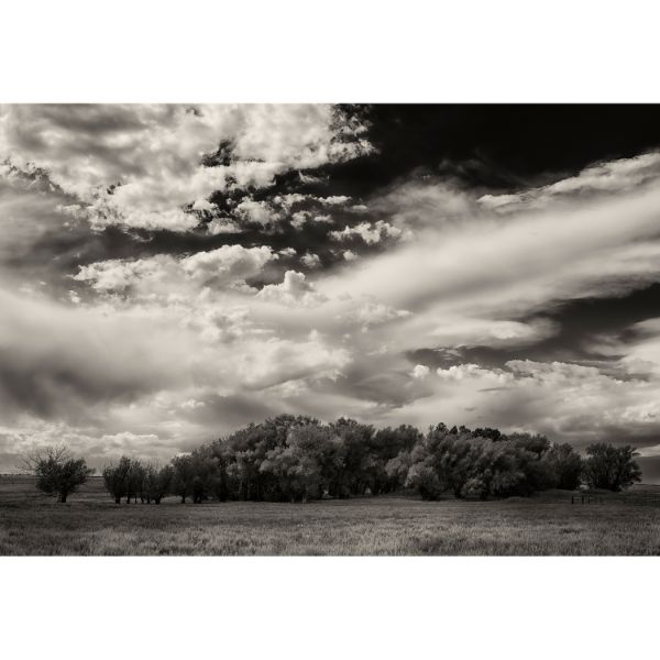 Picture of Colorado Prairie