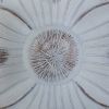 Picture of White Wall Decor