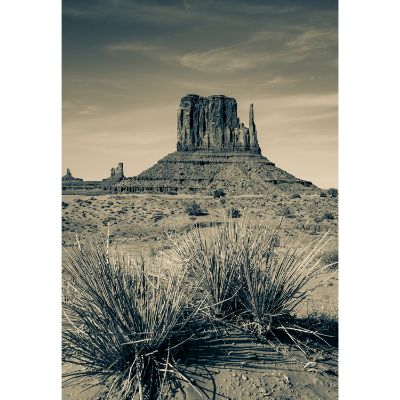 Picture of Monument Valley Desert