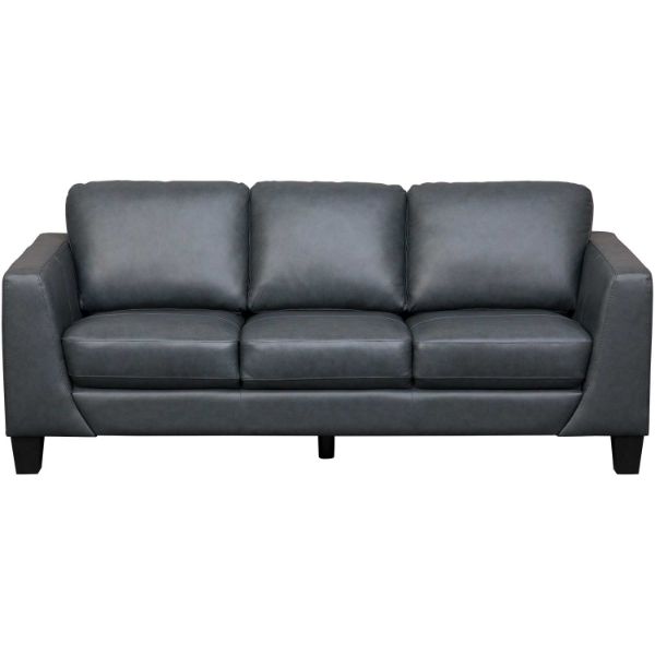 Picture of Kyra Steel Gray Leather Sofa