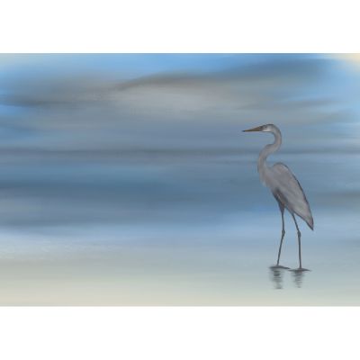 Picture of Blue Heron At Redington Beach