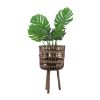 Picture of Bamboo Planters Brown