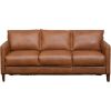 Picture of Dutton Italian All Leather Queen Sleeper