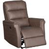 Picture of Niki Brown Power Recliner