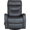 Picture of Rema Gray Leather Swivel Rocker Recliner, Beyond 50 Characters