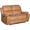 Picture of Tanner Reclining Loveseat