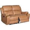 Picture of Tanner Reclining Loveseat